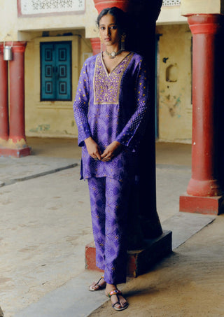 Drishti & Zahabia-Iris Purple Kurta And Pants-INDIASPOPUP.COM