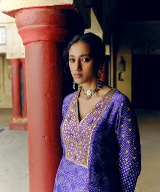 Drishti & Zahabia-Iris Purple Kurta And Pants-INDIASPOPUP.COM