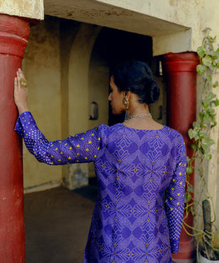 Drishti & Zahabia-Iris Purple Kurta And Pants-INDIASPOPUP.COM