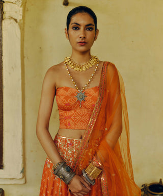 Rust Printed Lehenga Set by Drishti & Zahabia available on Indiaspopup.com