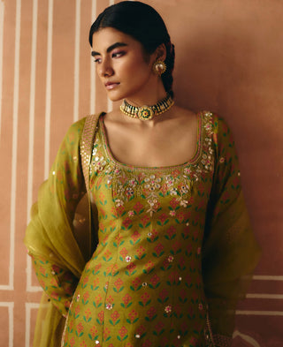 Parrot green sharara set