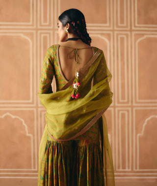 Parrot green sharara set
