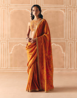 Burnt orange printed sari and blouse