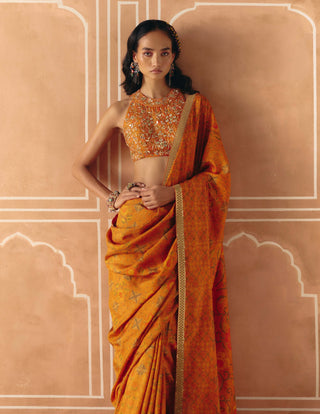 Burnt orange printed sari and blouse