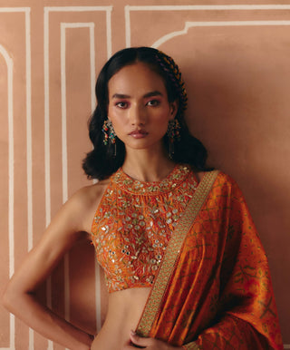 Burnt orange printed sari and blouse