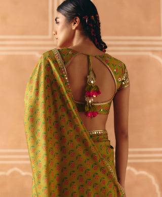 Parrot green sari and blouse