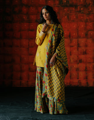 Amber Kurta And Flared Pant Set by Drishti & Zahabia available on Indiaspopup.com