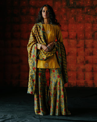 Amber Kurta And Flared Pant Set by Drishti & Zahabia available on Indiaspopup.com