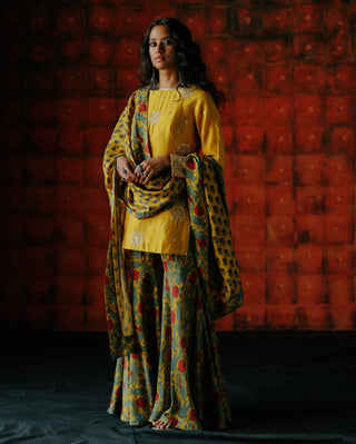 Amber Kurta And Flared Pant Set by Drishti & Zahabia available on Indiaspopup.com
