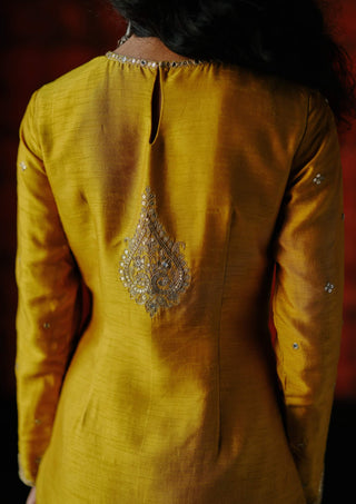 Amber Kurta And Flared Pant Set by Drishti & Zahabia available on Indiaspopup.com