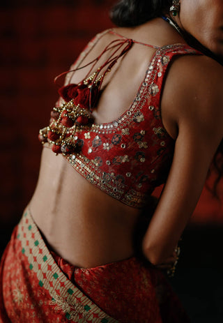 Brick Red Printed Sari And Blouse by Drishti & Zahabia available on Indiaspopup.com