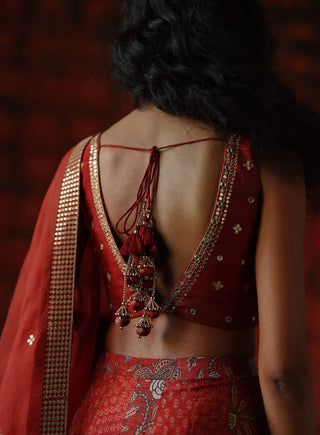 Brick Red Panelled Lehenga Set by Drishti & Zahabia available on Indiaspopup.com
