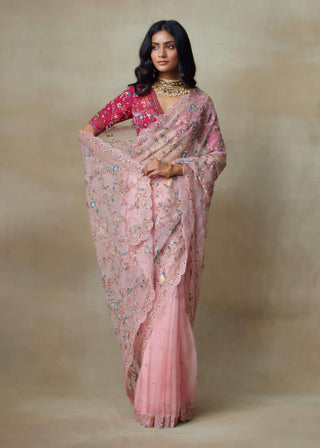 Falcon pink sari and blouse