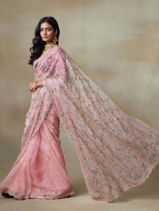 Falcon pink sari and blouse