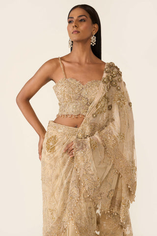 Golden Concept Sari And Blouse by Varun Bahl available on Indiaspopup.com