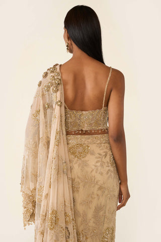 Golden Concept Sari And Blouse by Varun Bahl available on Indiaspopup.com