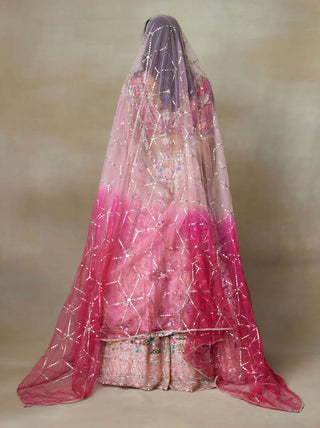 Flamingo pink lehenga set