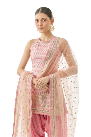 Pink nandini kurta and farshi salwar set