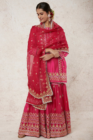Gopi Vaid-Shiddat Rani Pink Sharara Set-INDIASPOPUP.COM