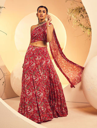 Aneesh Agarwaal-Red Rouched Blouse And Lehenga-INDIASPOPUP.COM