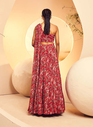 Aneesh Agarwaal-Red Rouched Blouse And Lehenga-INDIASPOPUP.COM
