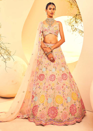 Aneesh Agarwaal-Gray Botanical Pattern Lehenga Set-INDIASPOPUP.COM
