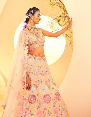 Aneesh Agarwaal-Gray Botanical Pattern Lehenga Set-INDIASPOPUP.COM