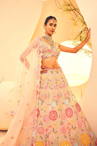 Aneesh Agarwaal-Gray Botanical Pattern Lehenga Set-INDIASPOPUP.COM