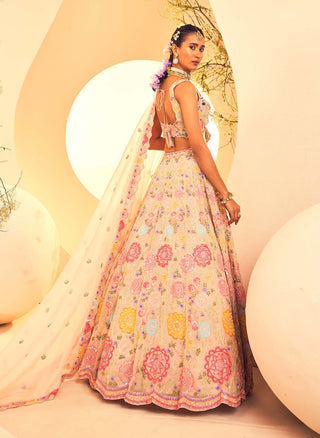 Aneesh Agarwaal-Gray Botanical Pattern Lehenga Set-INDIASPOPUP.COM