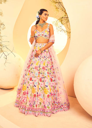 Aneesh Agarwaal-Pink Botanical Pattern Lehenga Set-INDIASPOPUP.COM