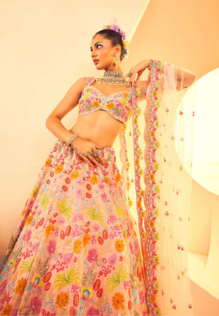 Aneesh Agarwaal-Peach Botanical Pattern Lehenga Set-INDIASPOPUP.COM