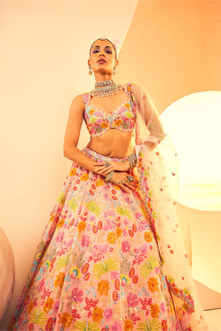 Aneesh Agarwaal-Peach Botanical Pattern Lehenga Set-INDIASPOPUP.COM