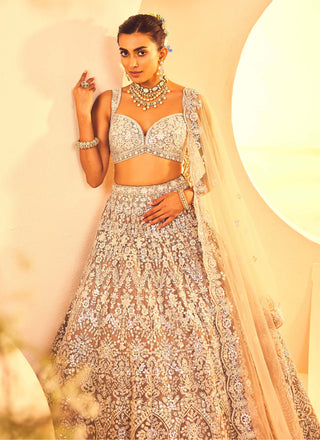 Aneesh Agarwaal-Taupe Foil Lehenga Set-INDIASPOPUP.COM
