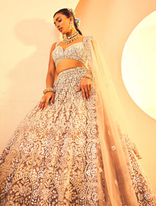 Aneesh Agarwaal-Taupe Foil Lehenga Set-INDIASPOPUP.COM