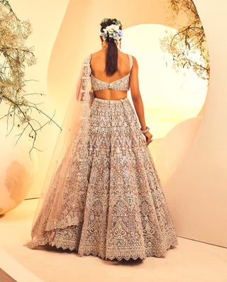 Aneesh Agarwaal-Taupe Foil Lehenga Set-INDIASPOPUP.COM