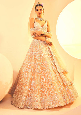 Aneesh Agarwaal-Peach Foil Lehenga Set-INDIASPOPUP.COM
