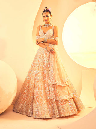 Aneesh Agarwaal-Peach Foil Lehenga Set-INDIASPOPUP.COM