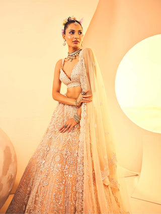 Aneesh Agarwaal-Peach Foil Lehenga Set-INDIASPOPUP.COM