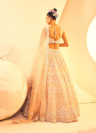 Aneesh Agarwaal-Peach Foil Lehenga Set-INDIASPOPUP.COM