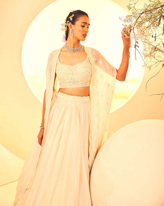 Aneesh Agarwaal-Dull Ivory Floral Cape And Lehenga Set-INDIASPOPUP.COM