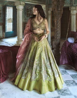 Lemon green silk zari tissue lehenga set