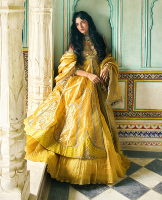 Mustard yellow pure zari tissue jacket and skirt set