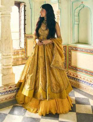 Mustard yellow pure zari tissue jacket and skirt set