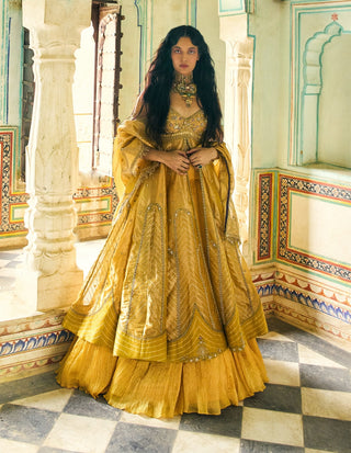 Mustard yellow pure zari tissue jacket and skirt set