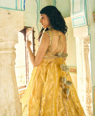 Mustard yellow pure zari tissue jacket and skirt set