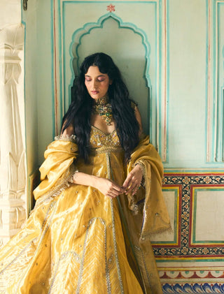 Mustard yellow pure zari tissue jacket and skirt set
