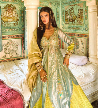 Mustard yellow pure zari tissue jacket and skirt set
