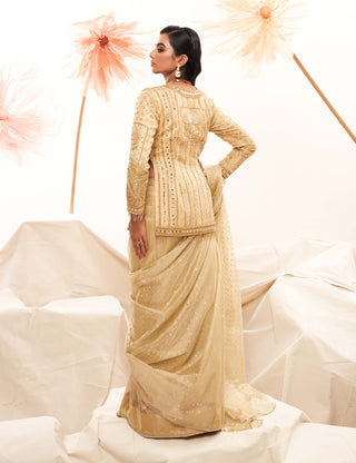 Golden Rush Sari And Full Sleeved Blouse by Payal And Zinal available on Indiaspopup.com