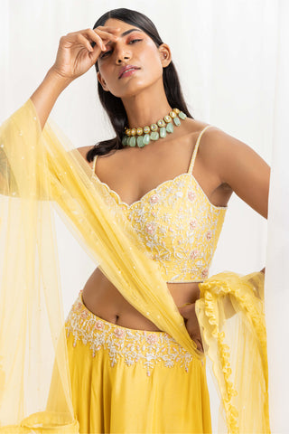 Seema Thukral-Yellow Embellished Lehenga Set-INDIASPOPUP.COM