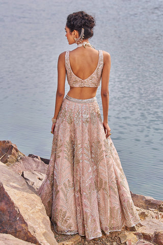 Nidhika Shekhar-Salmon Pink Embellished Lehenga Set-INDIASPOPUP.COM